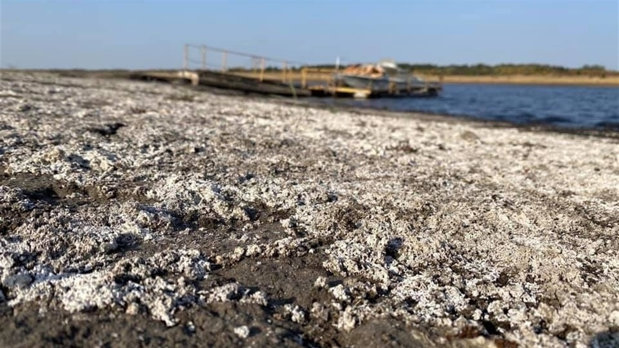 Краснопавлівське водосховище. Архів. 2020 рік