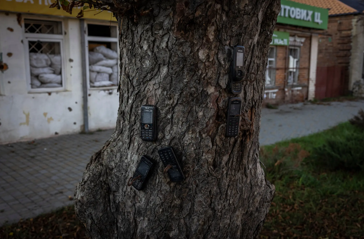 Телефони місцевих прибиті до дерева для залякування інших