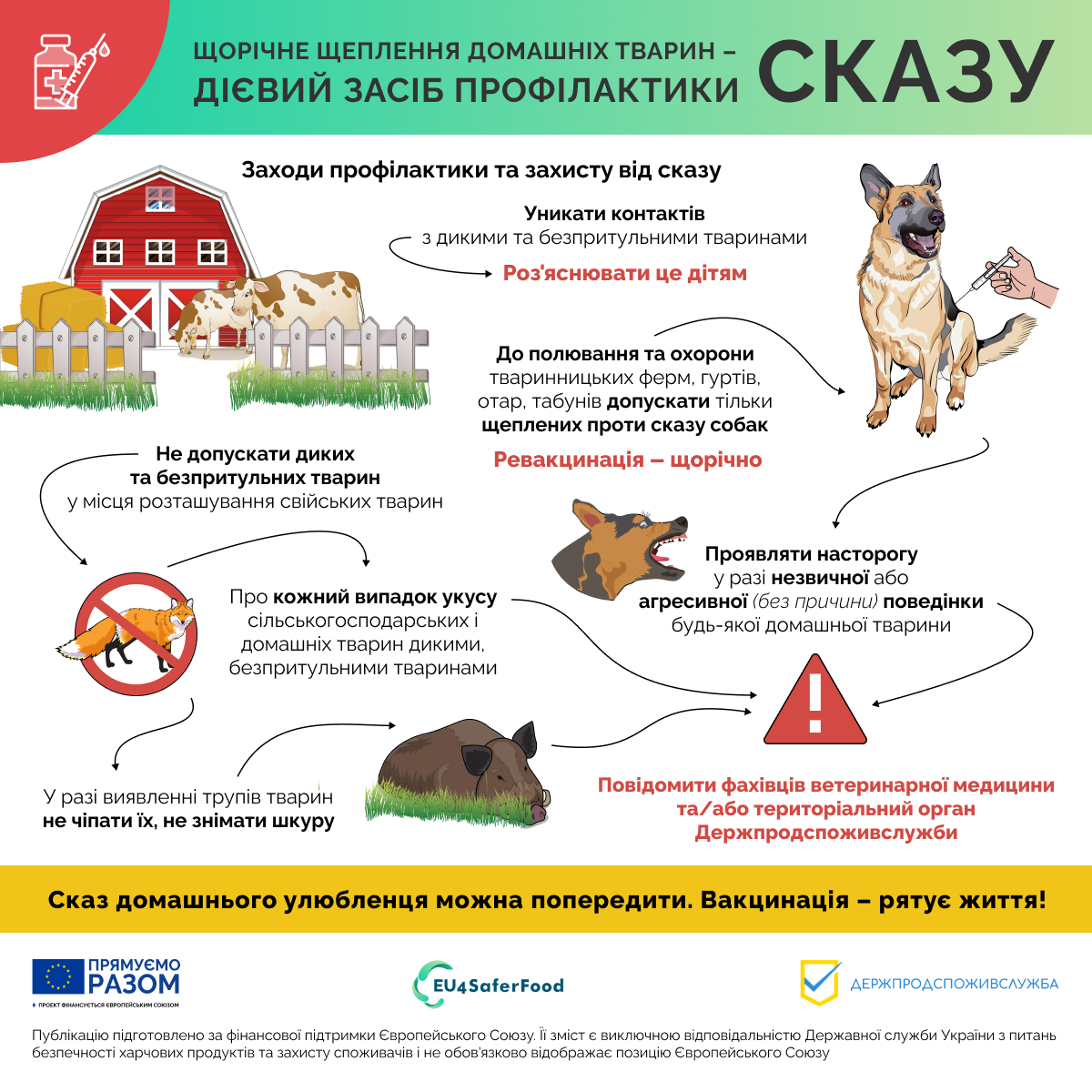 У Лозівській громаді проводять щеплення собак та котів проти сказу, 11.07.2023