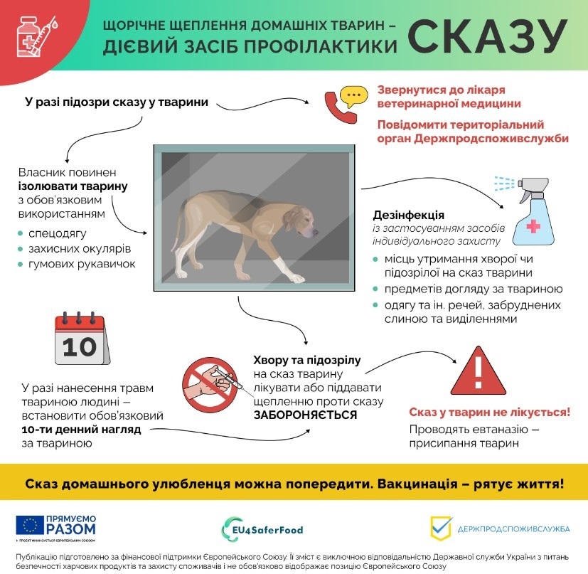 27 вересня у Лозовій проводять профілактичні щеплення собак та котів проти сказу, 27.09.2023