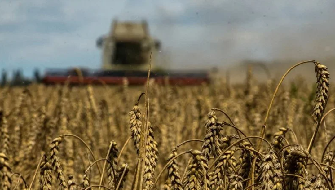 Аграрії Лозівського району не пасуть задніх і закінчують збирати пізні зернові культури, 04.11.2023