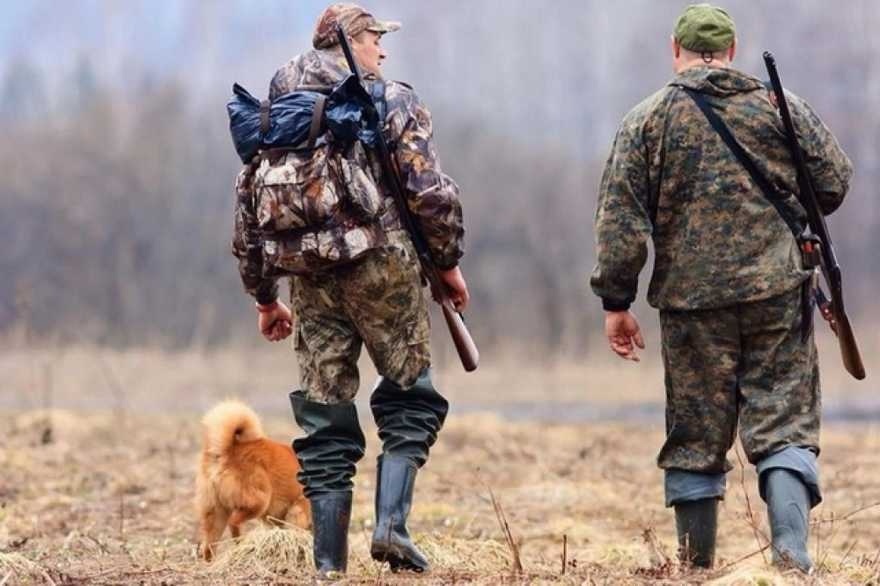 До 1 березня 2024 року мисливцям дозволено відстріл червоної лисиці в мисливських угіддях Лозівського району, 07.12.2023