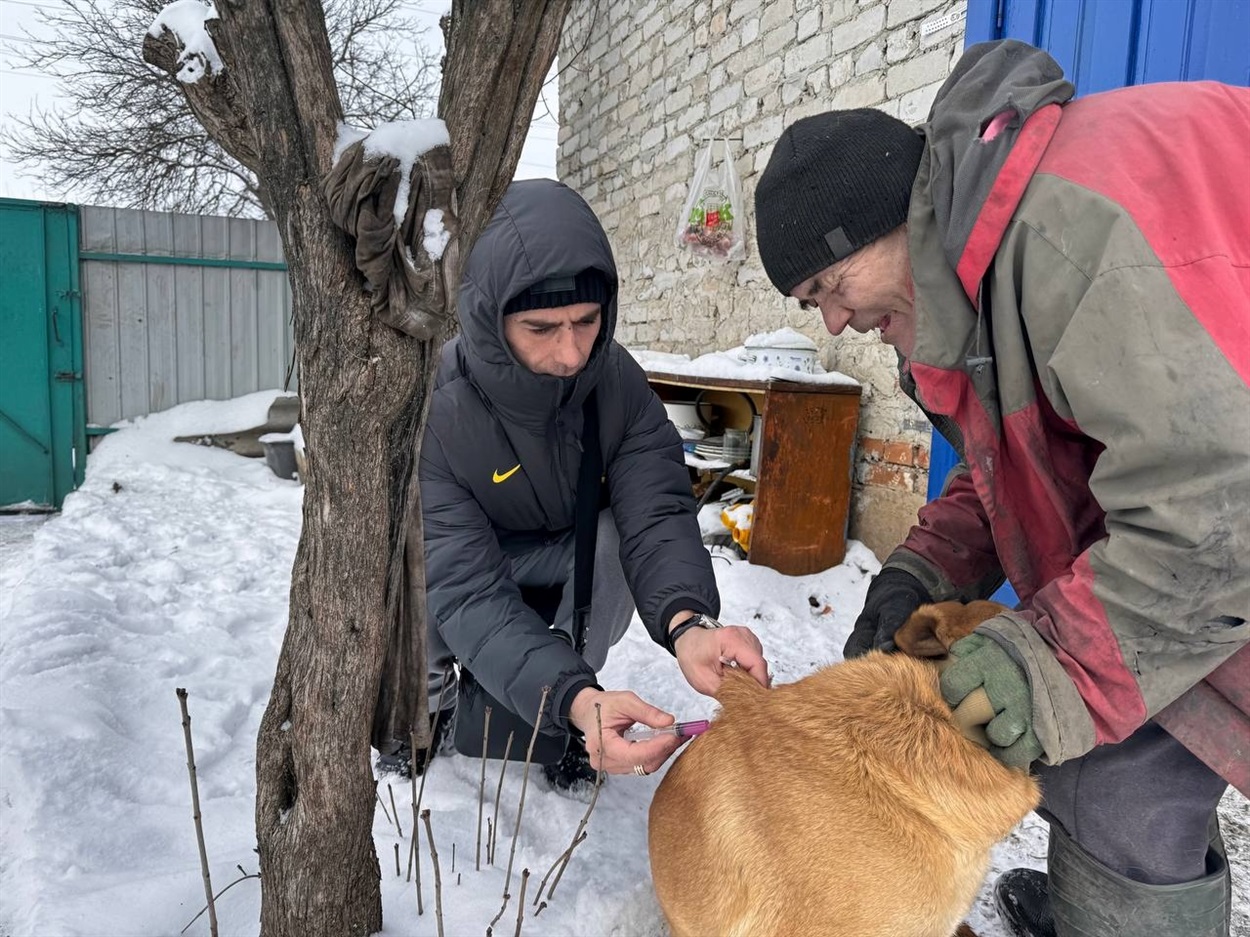 На Лозівщині 15-22 січня заштрики від сказу отримали 1106 тварин, 25.01.2024