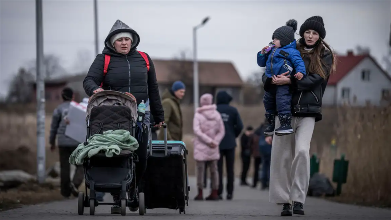 В місті Лозова проводять онлайн-опитування ВПО , аби вивчити їхні потреби, 19.04.2024